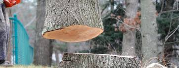 Best Firewood Processing and Delivery  in Remerton, GA